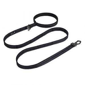 EXCELLENT ELITE SPANKER Nylon r&eacute;fl&eacute;chissant Laisse de Chien Poign&eacute;e rembourr&eacute;e 5 FT Laisses de Chien avec Fermeture Rapide pour Petits & Moyens & Grands Chiens（BLK） (EXCELLENT ELITE SPANKER STORE, neuf)