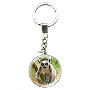 Deluxebase Magnidome Keychains - L&eacute;murien de Porte-cl&eacute;s Breloque en Verre de Cristal. Porte-cl&eacute;s photo de l&eacute;murien en forme de d&ocirc;me avec une cha&icirc;ne en acier inoxydable (DELUXEBASE, neuf)