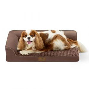 Lit Orthop&eacute;Dique Cosy Kiss pour Chiens De Taille Moyenne, Canap&eacute; pour Chien avec Rembourrage en Mousse De Soutien, Housse Imperm&eacute;Able Et Fond Antid&eacute;Rapant, Forme en U, Marron (SUNWIN US, neuf)