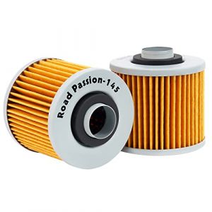Road Passion Filtre &agrave; l'huile pour YAMAHA XVS125 DRAGSTAR 00-04 XV125S VIRAGO 97-01 XV250 ROUTE 66 88-90 95-97 XV250 88-95 XV250S VIRAGO 95-06(2 pi&egrave;ces) (Road Passion, neuf)