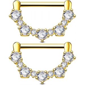 OUFER Body Piercing Barres pour piercing de mamelon (14G) en acier inoxydable 316L set de 2 bijoux barbell et anneau cliquet pour mamelon nipple piercing bar (OUFER Body Piercing, neuf)