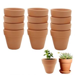 Molyorch 12 Pi&egrave;ces Pot en Terre Cuite de Succulent Cactus, pour Fleurs, Cactus, Plantes Grasses, pour LeJardinage, Le Bricolage, des Cadeaux de Mariage (6,5 x 6cm) (Morlight, neuf)