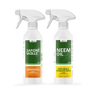 CLOSTER Set Huile de Neem et Savon Potassique pour Plantes - Anti Acariens Anti Cochenille Anti Pucerons Araigne&eacute; Rouge &ndash; Protection Naturelle du Jardin Contre Insectes Parasites (2x500ML Pr&ecirc;t emploi) (bio A.L.T., neuf)