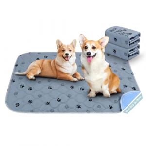 Aomig Tapis Educateur pour Chien, 2Pcs Pad de Dressage R&eacute;utilisables pour Chien, Pee Tapis Lavable Antid&eacute;rapant Anti-Fuites Chien, Tapis Propret&eacute; pour Animaux pour Chien, Chat(40 * 60cm) (Yadark, neuf)