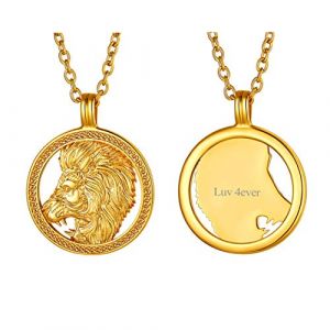 FindChic Pendentif Signe Astrologique Lion Personnalise Collier Femme Constellation Horoscope Or Plaque Dore Acier Inoxydable Médaillon 46 cm Bijou Cadeau Petite Amie Soeur (FindChic Jewellery, neuf)