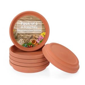 OLegei 6pcs Soucoupe pour Plantes en Terre Cuite soucoupes Rondes pour Plantes et Les Pots de Fleurs de 6/6.5/7 inch avec Trou de Drainage (16,5cm) (SunGiRay, neuf)