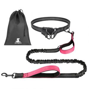 OFFCUP Main Libre Chien, &Eacute;lastique Laisse Canicross, Ceinture Canicross pour Chiens avec Couture R&eacute;fl&eacute;chissante, avec Sac de Rangement Id&eacute;al pour Course &agrave; Pied, Jogging et Marche (Fuchsia) (HOOCHE, neuf)