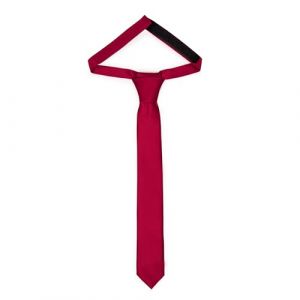 Ladeheid Cravate pour enfants pour gar&ccedil;ons - Look &eacute;l&eacute;gant mat, Pr&eacute;-nou&eacute;e avec une fermeture scratch, Parfaite pour les occasions sp&eacute;ciales - Cravate clip &eacute;l&eacute;gante TKM (31cm x 4cm, Bordeaux) (Hisert, neuf)