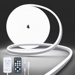 NELUX Neon Ruban LED Exterieur 5m, Bande Lumineuse LED Etanche Blanc Froid 6500K, Bandeau N&eacute;on Tube Flexible Murale, Enseigne Lumineux Decoration Chambre. Comprend T&eacute;l&eacute;commande et Alimentation 24V (FRILAP, neuf)