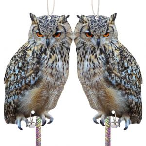 Effaroucheur Oiseaux Anti Pigeon Balcon: Effaroucheur Pigeons Repulsif Pigeon Anti Oiseaux Carton Hibou, Effaroucheur d'oiseaux Jardin, Epouvantail Oiseaux, Repulsif Oiseaux Exterieur 2 Pi&egrave;ces (HappinessFlag, neuf)