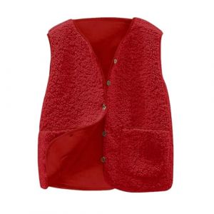 G&eacute;n&eacute;rique Gilet Polaire Femme hiver chaud Peau de Mouton Veste Sans Manches Femmes &Eacute;pais Gilet L&acirc;che Peluche Faux Cuir Gilets Polaire Manteau (wangpeichu, neuf)