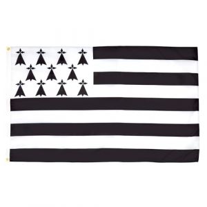 AZ FLAG - Drapeau Bretagne Alternatif - 90x60 cm - Drapeau Breton - France 100% Polyester Avec Oeillets Métalliques Intégrés - Pavillon 50 g (AZ-FLAG, neuf)