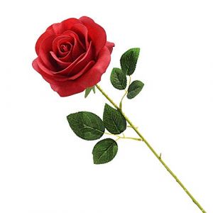 Cosswe Rose &Eacute;ternelle, Fleur Artificielle en Soie &Eacute;l&eacute;gante - Cadeau Romantique pour Saint Valentin, F&ecirc;te des M&egrave;res, No&euml;l, Anniversaire - D&eacute;corative pour Salon, Mariage, C&eacute;r&eacute;monie (Rouge) (ZoGOQda, neuf)