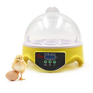 Couveuse D'Oeufs, Couveuse Automatique à 7 Oeufs, ContrôLe Digital Intelligent de La TempéRature, Couveuse Avec Affichage Digital LED, Couveuse Pour Oeufs De Poule, Canard et Caille (EU) (HUOHUOZHU, neuf)