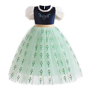 MYRISAM Filles D&eacute;guisement Robe Reine des Neiges Princesse Anna Costume de Carnaval Halloween Cosplay No&euml;l Robe de Soir&eacute;e C&eacute;r&eacute;monie Anniversaire Bal 2-3 ans (MYRISAM store, neuf)