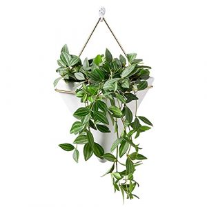 Spuik Pot de fleurs &agrave; suspendre en c&eacute;ramique g&eacute;om&eacute;trique pour d&eacute;coration murale Pot de fleurs moderne simple pour plantes en pot blanc (LEBEE, neuf)