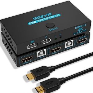 SGEYR Brancher 2 PC sur 1 Ecran, Multiprise Hdmi pour TV, KVM Displayport Switch, Prise Multiple Hdmi 4K, Commutateur KVM Displayport, Double Hdmi PC Double Ecran, pour Xbox, Projecteurs, DVD, PS4 (Sgeyr, neuf)