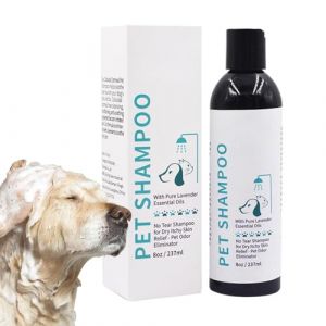 Shampooing pour animaux de compagnie pour chats | Shampooing après-shampooing pour animaux de compagnie, contrôle des pertes | Shampoing nourrissant parfumé pour animaux de compagnie, doux pour chats, (Alacritua Europe, neuf)
