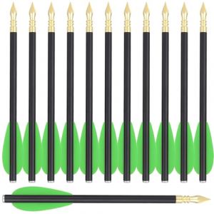 WANVZMR 12 pi&egrave;ces Boulon d'arbal&egrave;te de 6,3 Pouces, Mini Fl&egrave;ches d'arbal&egrave;te en Carbone avec Pointe de Fl&egrave;che, Fl&egrave;ches de Chasse pour Arbal&egrave;te de 50 &agrave; 80 LB, Tir &agrave; l'arc, Cible de Chasse (12pcs Green) (BINGHENG OU, neuf)
