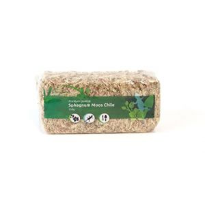 Sphaigne de sphaigne pour Terrarium et orchidées du Chili 150 g à 5000g (1x150 g) (Lifestyle & Nature, neuf)