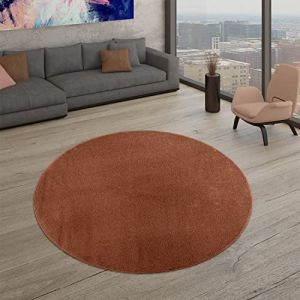 TT Home Salon Tapis Poils Ras Design Uni Moderne Et Intemporel, Couleur: Marron Orange, Dimension:120 cm Rond (marche-de-tapis, neuf)
