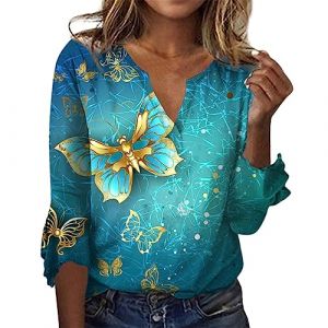 Blouse Femme Col V Tshirt Dentelle Chemisier Transparent Sexy Top A Basque Tee Shirt Robe Manche Courte Chemise De Nuit Manche Longue Fluide (leizhangbaihuo, neuf)