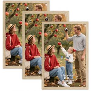Vasemouh 3 Cadres Photos 20x30 pour Les Photos, Les Dipl&ocirc;mes, Les Images, Cadre 30x20 en Naturel (SlientHill, neuf)