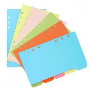 Lot de 30 séparateurs à anneaux A5 séparateurs pour cahiers à anneaux 6 trous séparateurs colorés séparateurs pour classeurs, cartons séparateurs pour école ou bureau Loopunk (Loopunk-FR, neuf)