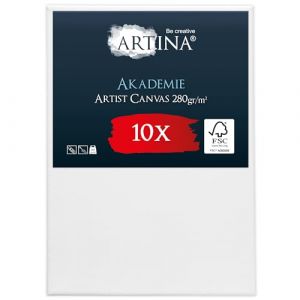 Artina Akademie Set de 10 Canvas Toile à Peindre 50x70cm – Châssis entoilés en Bois certifiés FSC – Toile Peinture Blanche de 100% Coton - 280g/m² - Toile Stable et sans Acides (Brandvin, neuf)