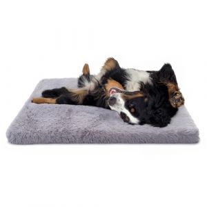 Paco Home Lit pour Chien Lit pour Chat Coussin Moelleux pour Donut Couverture pour Chat Panier pour Panier pour Lavable, Couleur:Gris, Dimension:80x120 cm (Tapis24, neuf)