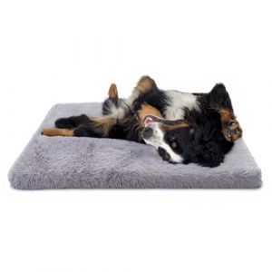 Paco Home Coussin pour Chien Coussin pour Chat Moelleux Panier pour Chien Donut Corbeille pour Chien Chat, Couleur:Gris, Dimension:80x120 cm (Tapis24, neuf)