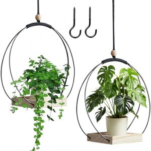 BDHYYM 2 Pi&egrave;ces Suspension Plante Int&eacute;rieure, Pot Suspendu Plant Interieur, Macrame Suspension Plante Suspendue, Anneau en M&eacute;tal avec Base en Bois, Crochet de Inclus (hongchuangyi, neuf)