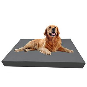 Barry & Lucy Matelas pour Chien Amovible - Tapis De Couchage Chiot, Coussin Place en Simili Cuir, Plusieurs Couleurs (105x75x10, Gris) (chillypilley, neuf)