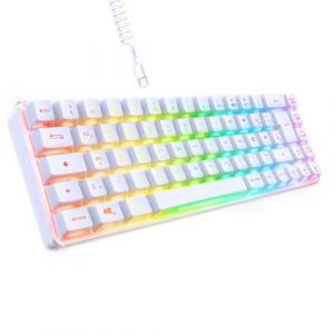 EMPIRE GAMING - Neu 2024 - K208 Kompakte TKL-Kabelgebundene Tastatur (DE-QWERTZ) 69 Tasten RGB - Abnehmbares USB Type C Kabel Plug & Play - PC/PS4/PS5/Spielekonsole - 23 Anti-Ghosting-Tasten (Weiß) (OptimumWay France, neuf)