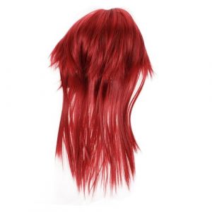 VALICLUD Perruque Mulet Longue Pour Homme Accessoire Cosplay Style Anime Cheveux Longs Mulet (Cedongh, neuf)