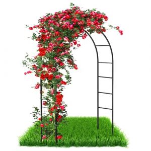 Arc pour rosiers et support pour plantes grimpantes en m&eacute;tal pour jardin, arc pour rosiers avec treillis de jardin, support pour rosiers en acier rev&ecirc;tu par poudre, arc pour rosiers r&eacute;sistant aux (Basika27, neuf)