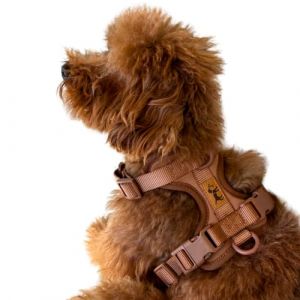 Harnais anti-traction pour chien – Réglable et confortable – Petites et moyennes races – Promenades sûres et sans traction – La Casa de Turrón (Desert marron, XS) (La Casa de Turrón, neuf)
