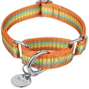 Dazzber Martingale Collier pour Chien - Collier pour Chien Souple Réglable Durable D-Ring Heavy Duty Choke Collar pour Chiens de Grande Moyenne Petite Taille (Large, Orange Jaune) (Dazzber-UK, neuf)