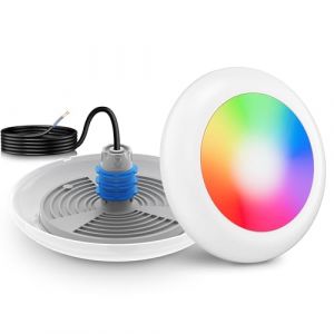 LyLmLe Projecteur Piscine Vissable avec Filetage 1" 1/2, 25W RGB Spot LED Piscine Multicolore Contrôle Synchronisé, Ø242mm, 12V AC Lampe pour Piscines Béton SPA, Sans Unité de Contrôle (Raypole International, neuf)