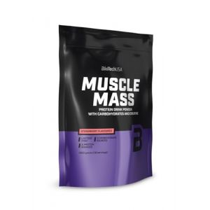 BioTechUSA Muscle Mass | Protéines et glucides en poudre | avec créatine et peptides de glutamine | Gainer | Sans lactose | Créatine micronisée | 1 kg | Fraise (BioTechUSA Official FR, neuf)