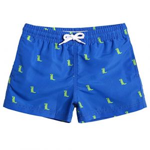 MaaMgic Short de Bains D'Ete Garcons Filles Carton Dinasaure Slip Filet Maillot de Bain Enfant a la Plage, Bleu Dinosaure, 2 ans (baohui, neuf)
