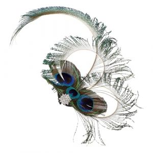 Homoyoyo Pince à Cheveux Plume De Paon Mariage Agrafe Accessoires De Cheveux Brillants Cheveux Décoratifs Pince à Cheveux Pour Femmes Casque Cheveux En Spirale Strass (meRIoy, neuf)