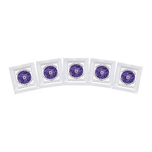 Ferments de Yaourt - Pack de 5 Sachets de Culture lyophilisée pour le yaourt bulgare authentique (NPSelection LTD., neuf)