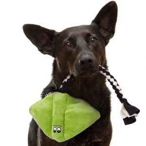 FAVPET Jouet en Peluche pour Chien Raie, Jouet Squeaky pour Grands Chiens et pour Petit Chien avec Couineur, Jouets Dr&ocirc;le en Peluche pour Chiot (Vert) (Lucky Oak store, neuf)