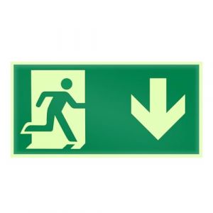 VOSSOT Panneau Sortie de Secours Photoluminescent 15x30cm, Plaque de Issue der Secours, Autocollant Bloc Secours Fl&egrave;che Bas, Signalisation de S&eacute;curit&eacute; pour B&acirc;timents, Bureaux, &Eacute;coles, H&ocirc;pitaux (caixianli, neuf)