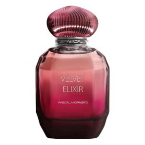 Eau De Parfum - Velvet Elixir - Pascal Morabito - Accueil - 100ml (SAGA Cosmetics, neuf)
