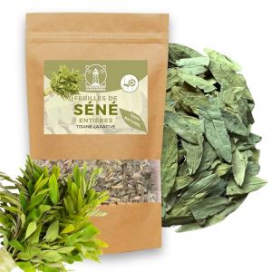 Feuille de sene, laxatif puissant pour constipation et detox du colon. Tisane laxative à effet rapide. Favorise le transit intestinal et le nettoyage de l'intestin. Sachet 100 g feuilles séné en vrac (La Livrerie, neuf)