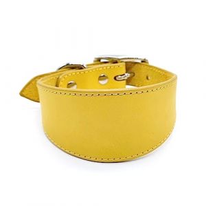 Colliers en cuir pour l&eacute;vriers - Rembourrage doux - Large collier pour whippets lurchers salukis grandes races - Accessoires pour animaux de compagnie - Accessoires pour chiens (qoeifj, neuf)