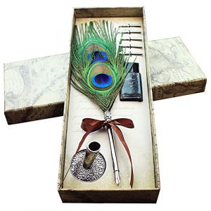 OPENDGO Stylo plume de paon et ensemble de stylos de calligraphie &agrave; encre avec support Plume d'oie naturelle et ensemble d'encre avec 5 plumes pour d&eacute;butants (HCSUI, neuf)