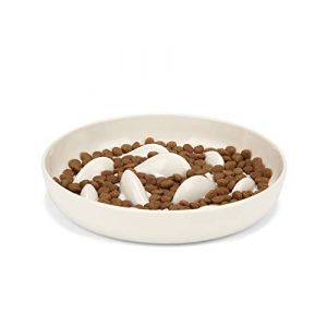 PETTOM Gamelle Anti Glouton Chat, Bol R&eacute;gime Chat Alimentation Lente, Plat Assiette Chaton avec Base Antid&eacute;rapante, Rond, Blanc (kaka Mall, neuf)